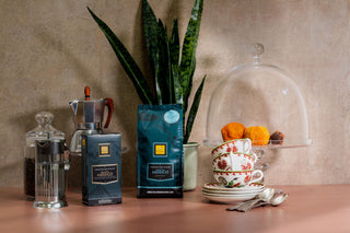 Filicori Zecchini - Grand Cru Mexico Collection. French Press Pot.