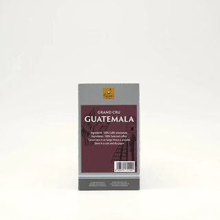 Grand Cru Guatemala | Capsule per Nespresso Alluminio di Filicori Zecchini, caffè 100% selezionato per un gusto unico.